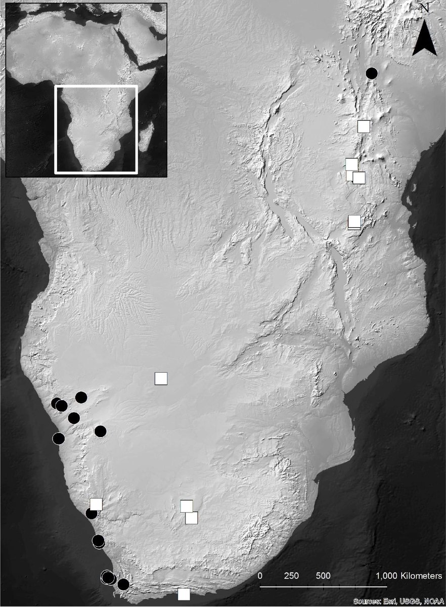 Previous research found OES bead sizes increase 2,000 years ago in southern Africa, corresponding with the intro of herding to the area. Our study re-examines this change using new data, and tests whether a similar transition accompanies the onset of herding in eastern Africa.