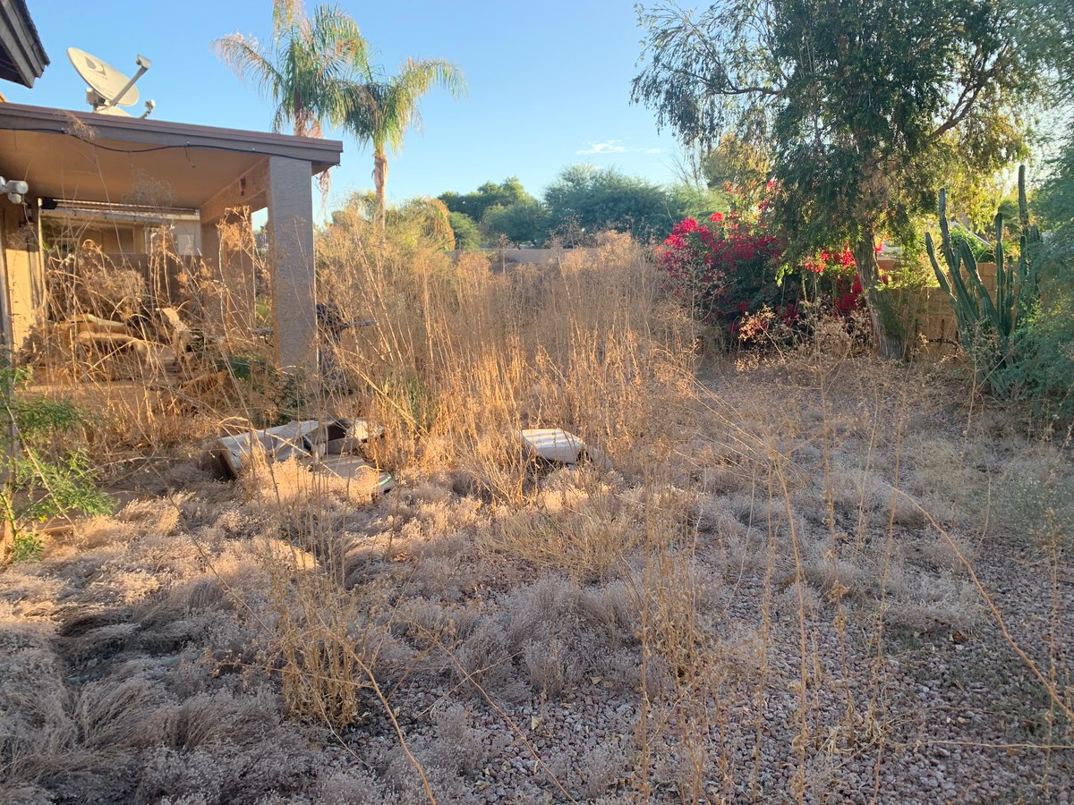 GilbertYourTown's tweet image. #GilbertKindness shoutout to @DamageControlUS and @TerraVerdeLS! 💛

The teams cleaned up this landscape after the homeowner, an elderly veteran, unfortunately, passed away.

The family wasn't able to tackle this on their own and these teams stepped up to help. Thank you!