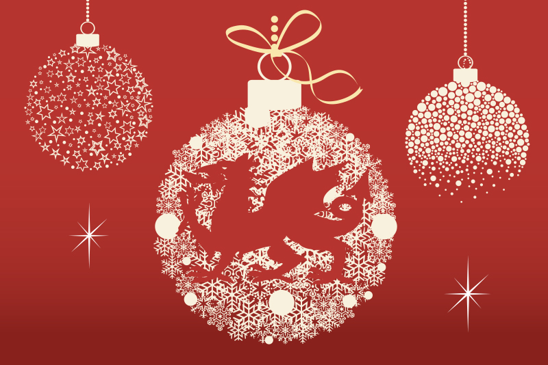 CityHospice's tweet image. Join us at our annual Welsh Language Carol Concert at Beulah Church on the 10th December. Book early so you don’t miss out! 
cityhospice.org.uk/get-involved/u…

#LightUpALife