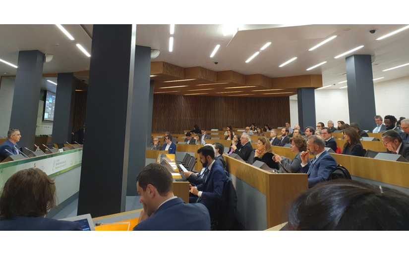 el19digital's tweet photo. #VamosPorMasVictorias

El Foro de Innovación Abierta, fue organizado por la CEOE, al que asistió nuestra Compañera Milagros Urbina, desde su Consejo de Empresarios Iberoamericanos-CEIB, y la Secretaría General Iberoamericana-SEGIB

https://t.co/t6KZgywudz https://t.co/X5yfwQu9GA