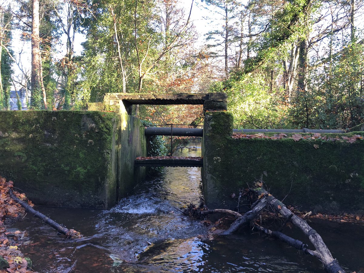 EllendaleE's tweet photo. How lucky were we today with the weather whilst out looking at a community hydro scheme in Renfrewshire #hydro #renfrewshire #ecology #riversandstreams https://t.co/m2QkZ8bD9v