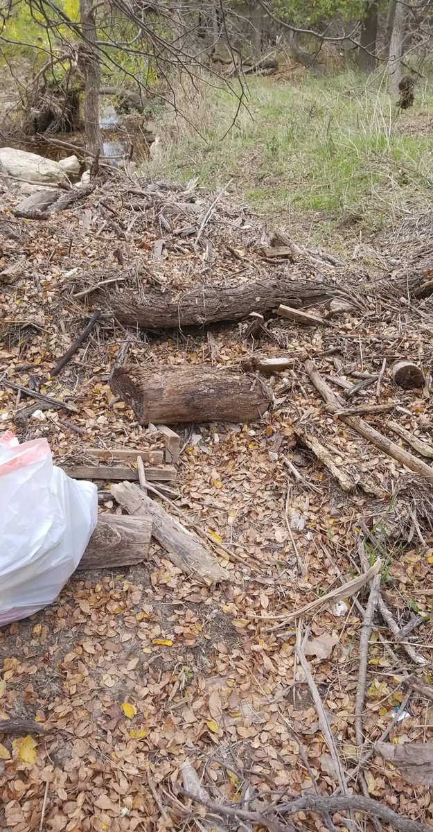 unknownuserz024's tweet image. Spent an hour cleaning up my local park and bike trails! Thanks @AndrewYang for inspiring me to help my community. #YangGang
#PLEDGEFORHUMANITY