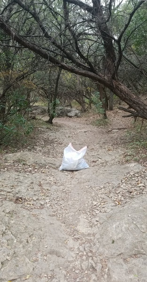 unknownuserz024's tweet image. Spent an hour cleaning up my local park and bike trails! Thanks @AndrewYang for inspiring me to help my community. #YangGang
#PLEDGEFORHUMANITY