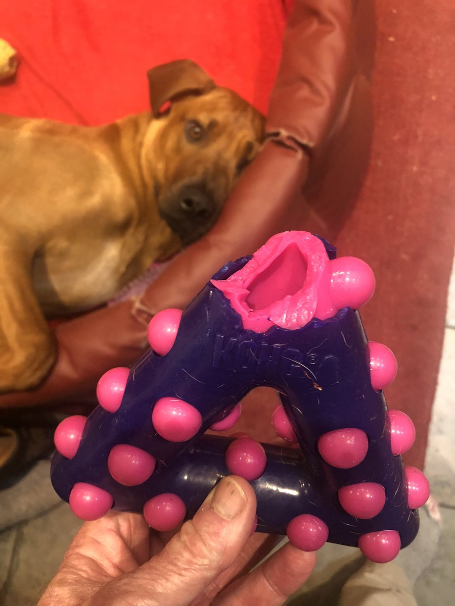 Graeme Peacock tweet media