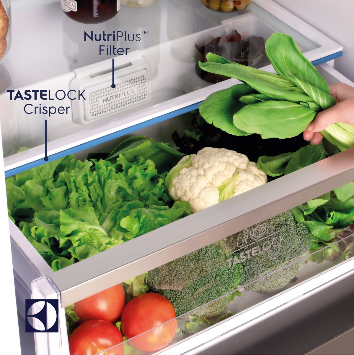 Electrolux Malaysia tweet media