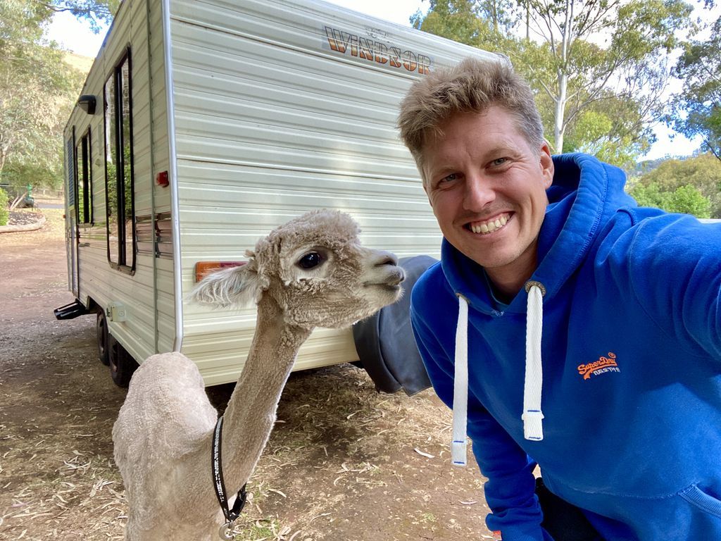 I made a new #friend today. 😃😍
Finally someone who understands me. Doing nothing but #eating and looking #cute all day is more exhausting than you’d think. 😂😂😎

#adelaide #alpaca #southaustralia #roadtrip