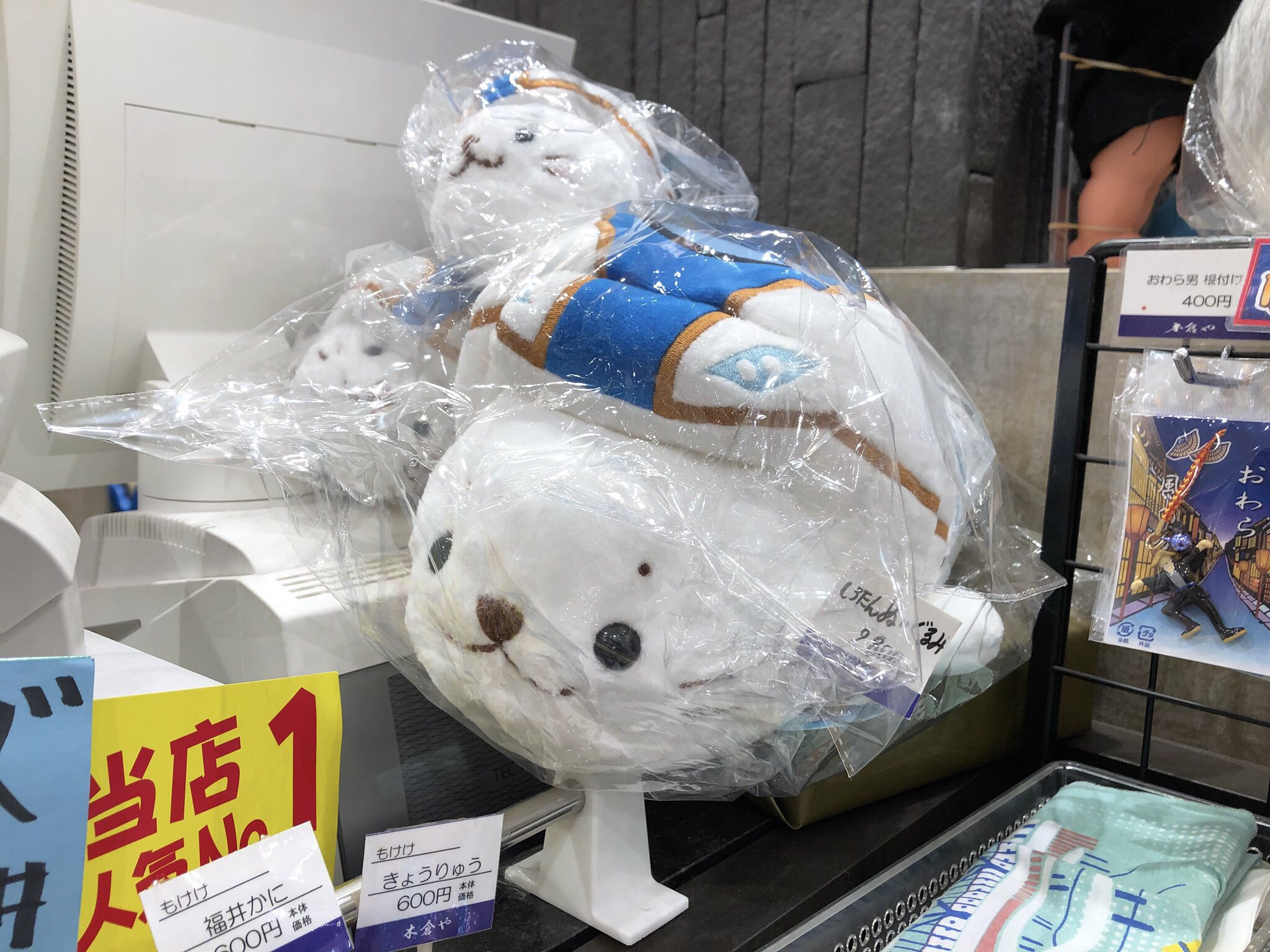 【しろたん】 しろたん パイナップルパーティー クッション 38cm 《単品