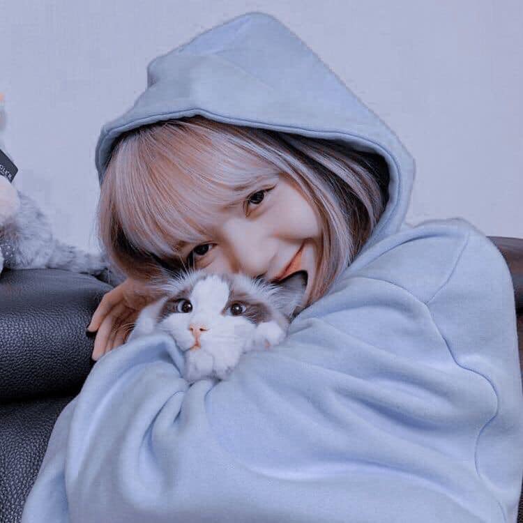 —เอรีณโสดค่ะ tweet media