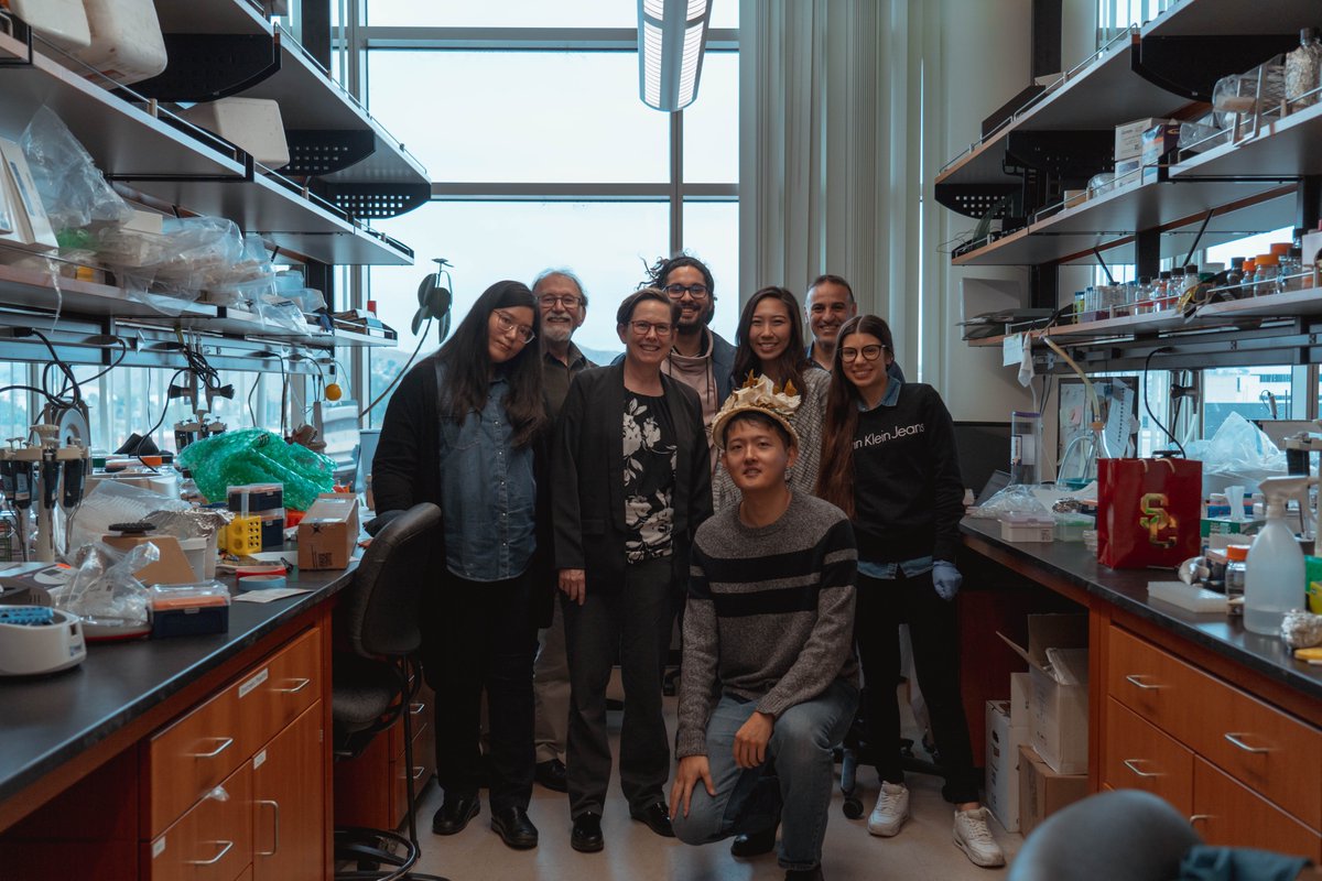 Kirmizis Lab tweet media