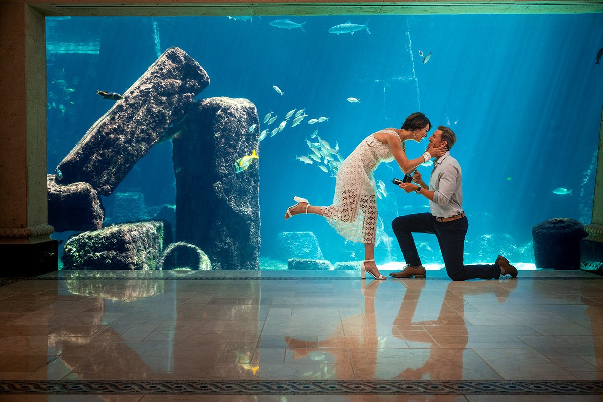 LoveAtlantis's tweet photo. Destination proposal
.
.
.
#BeachWedding #DestinationWedding #LoveAtlantis #AtlantisBahamas #BahamasAtHeart #BahamasWedding  #Wedding #Honeymoon #Venue https://t.co/dResIEcmx9