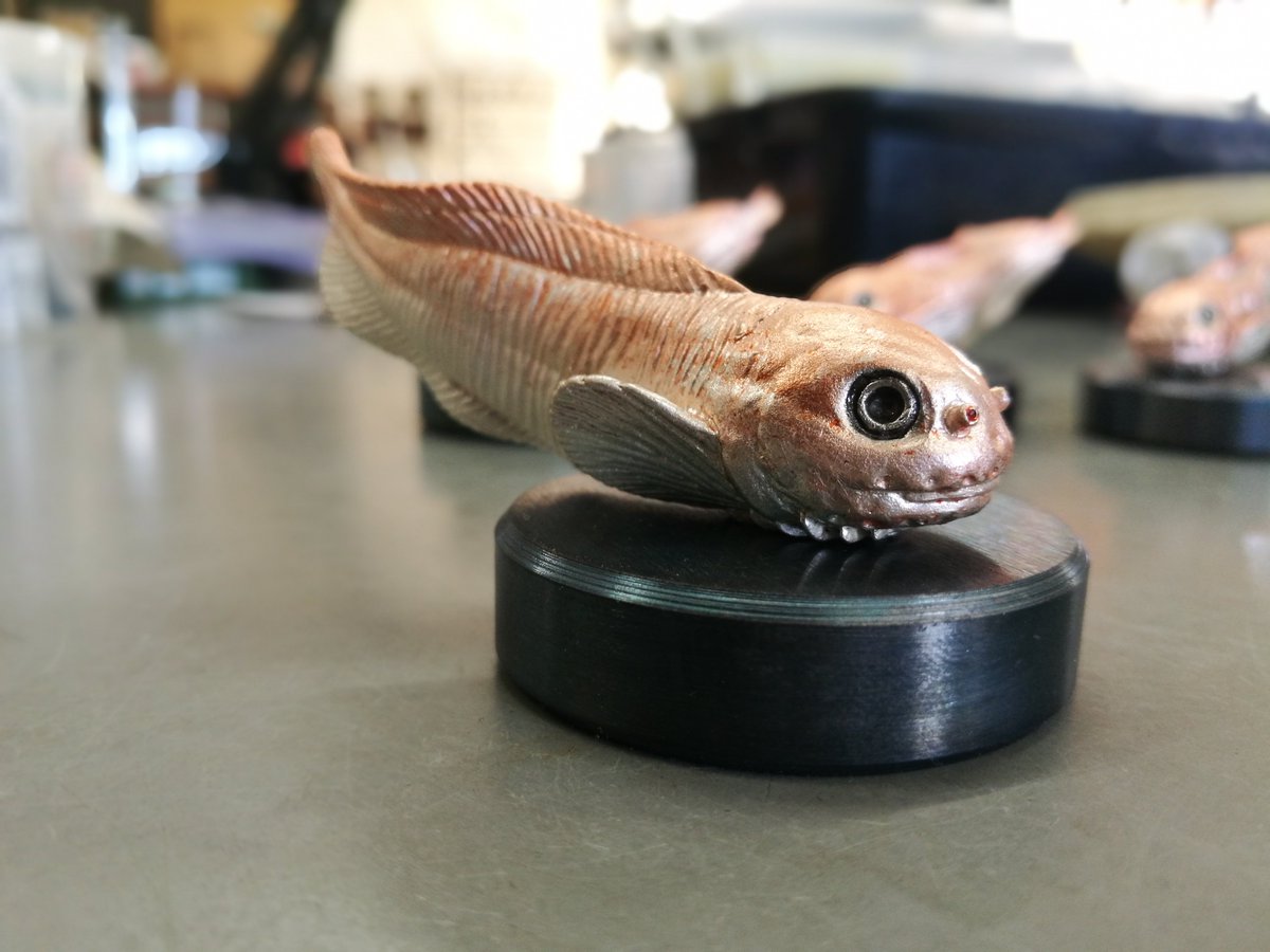 ヒメコンニャクウオ