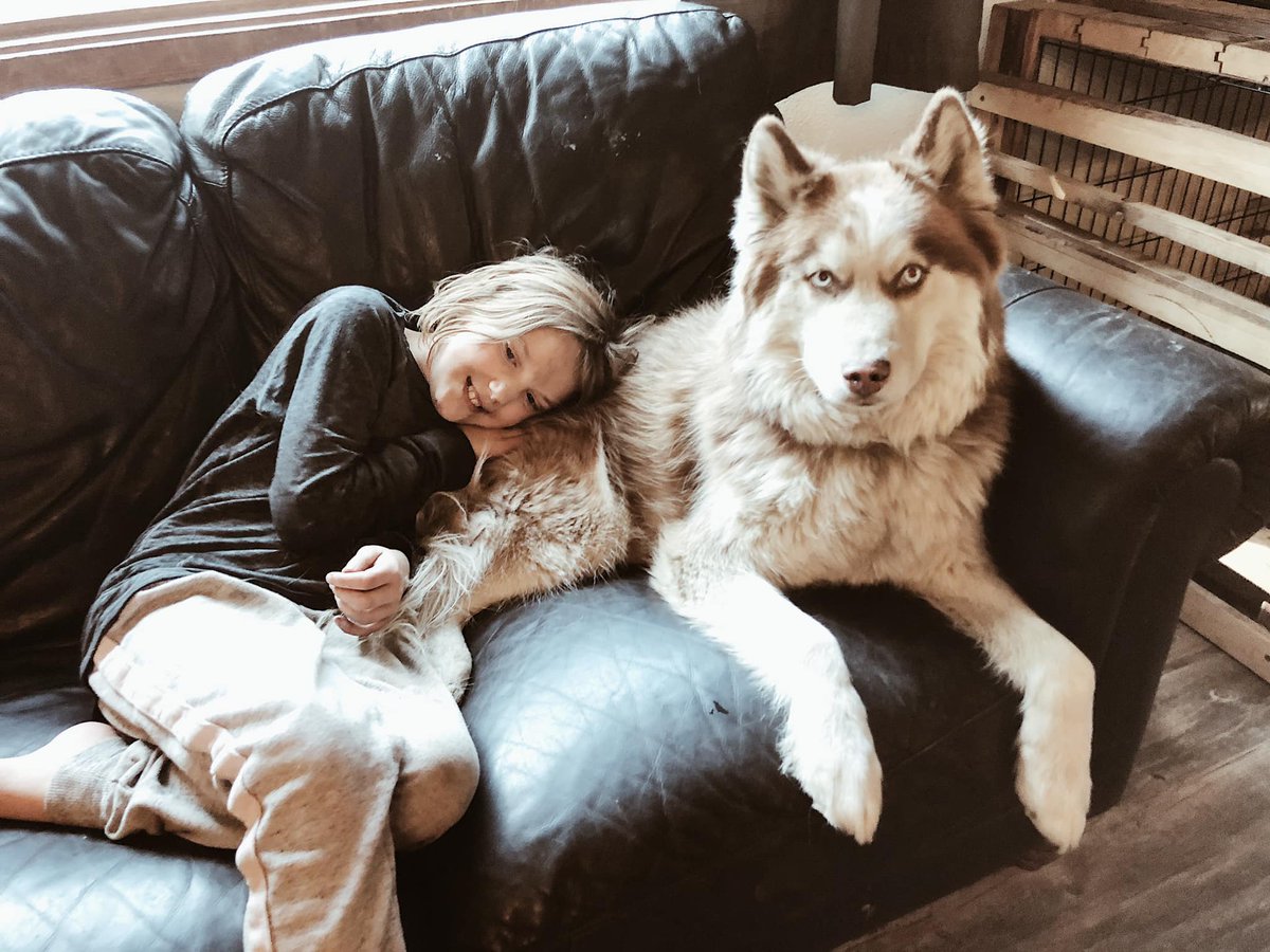 We're glad to have made #GivingTuesday a success for the Schlenz family, who've been fundraising for a #supportdog from @GoodDogAutism, for their daughter Naiya (age 9).
"Thanks to ACCU’s help we have made our goal of $16,000," says dad Kelly. "We can’t thank you enough!"
#autism