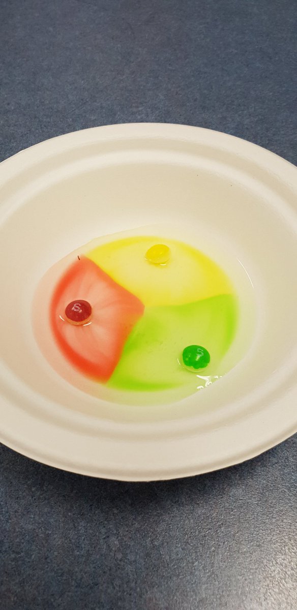 Kelly Jawerth tweet media