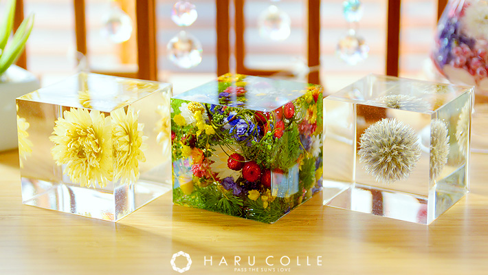 Jeugia 木の葉モール橋本 Jeugia3 Twitter Jeugia 木の葉モール橋本 Jeugia3 Twitter