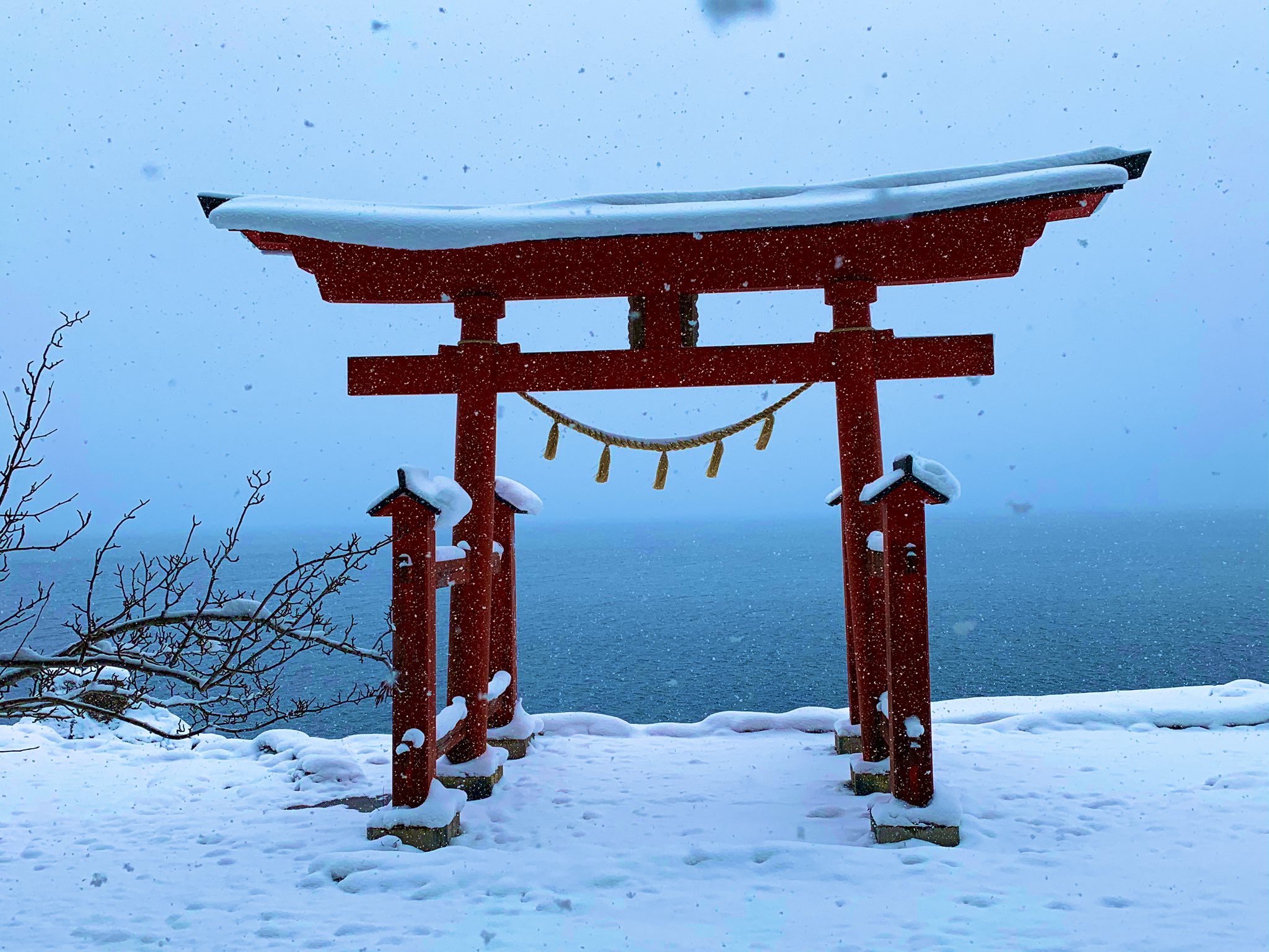 仙北市観光課 公式 田沢湖畔 御座石神社の赤鳥居 深い田沢湖ブルーに鮮烈な朱が美しい 仙北市 田沢湖 秋田 御座石神社 行くぜ東北 冬のごほうび Akitavision T Co Xgyqzypajd Twitter