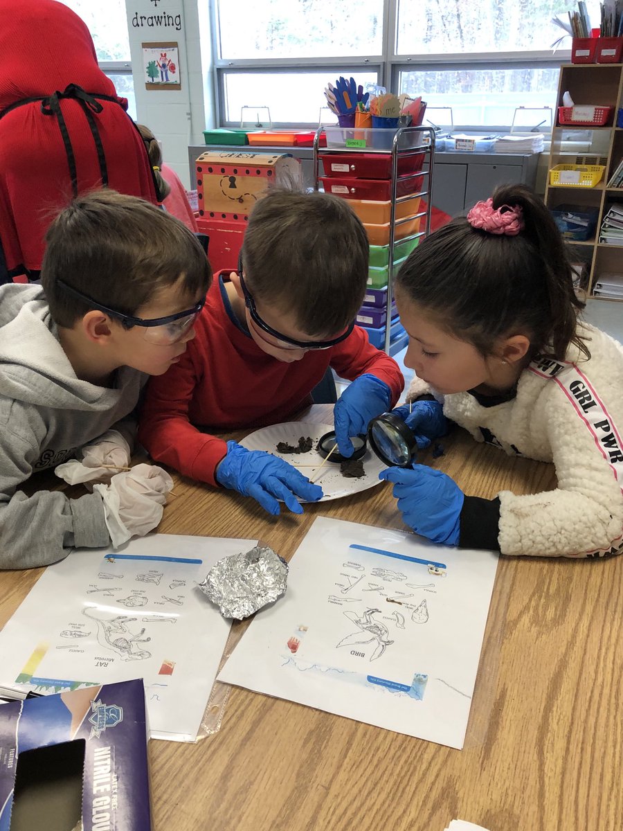 oharewecome's tweet photo. K kids dissecting owl pellets .🦉#CIPLearns #Teachersleadri https://t.co/OEildrWJLu