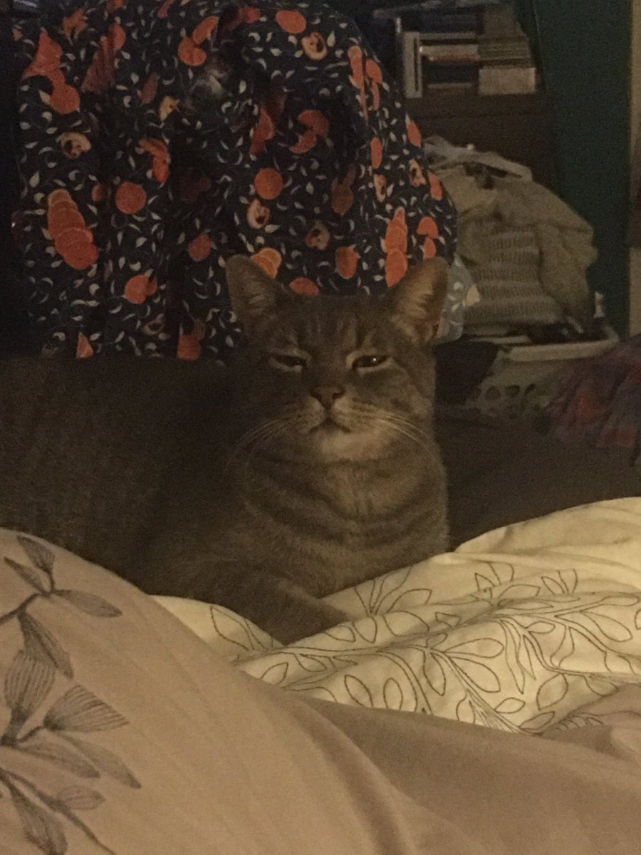 meditating I am