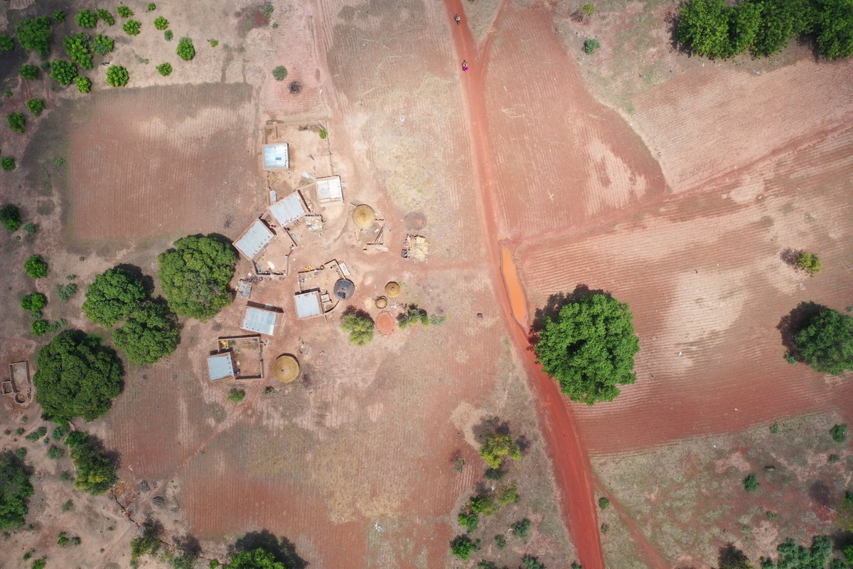 MACONDO Drones tweet media