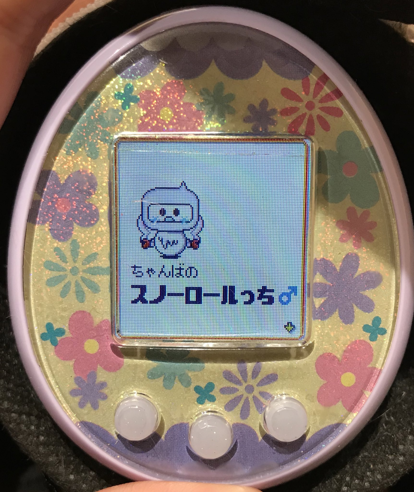 ちゃんば🦄💕 on X: ちゃんば🦄💕 on X: