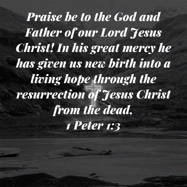 As we approach December 25th, the day Christians celebrate the Birth of our Savior, Jesus Christ out culture makes it harder every year to focus on the Reason for this Season. God Bless all our Families and Rejoice in the Lord, Always I say again Rejoice.v bible.com/111/1pe.1.3.niv