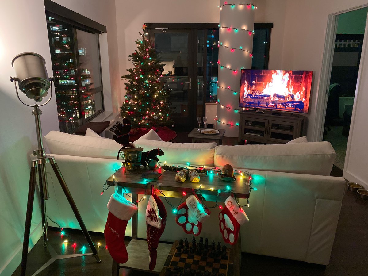 TempResidents's tweet image. We’ve moved into an apartment &amp;amp; made decorating our top priority. 

We’ll miss the Winter Markets of Europe, but we love having a tree again. Portland is cool, kind of funky with the town motto of “Keep Portland Weird.” We can get down with that. 🕺👌 #Portland #Oregon