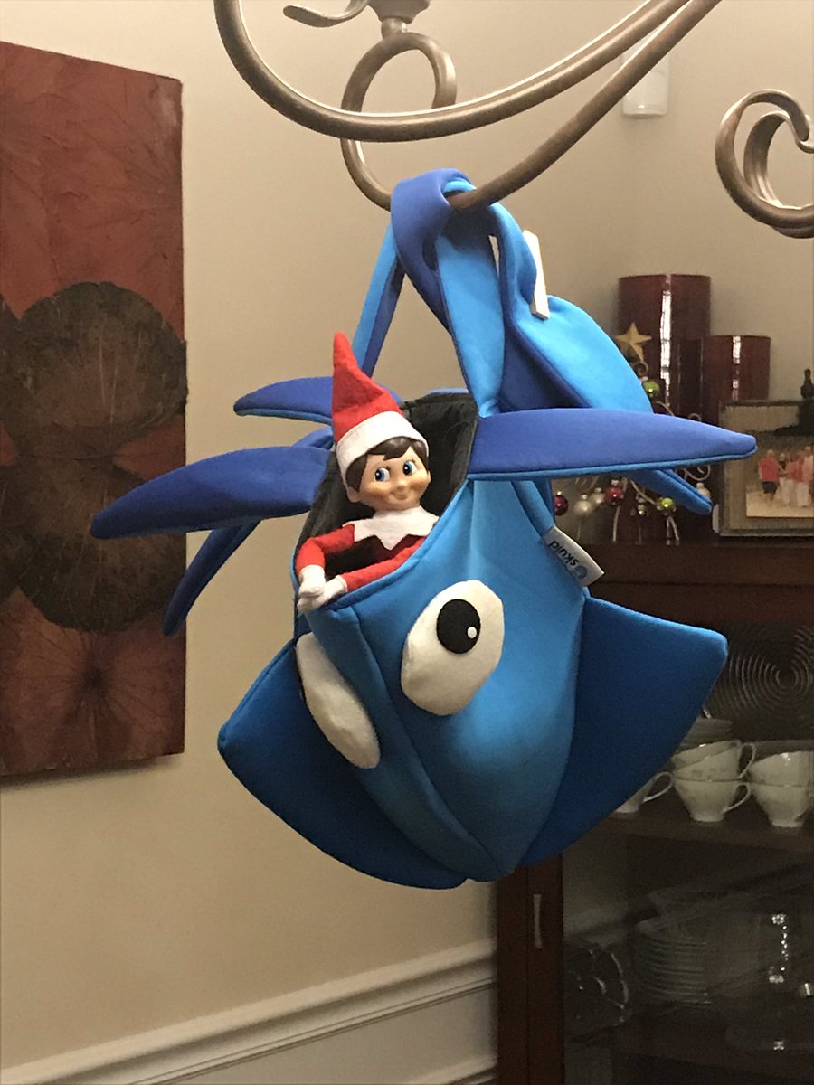 codegumbo's tweet photo. Bloem (#ItsDutch) our elf digs the @skuidify head from #sqlsatatl https://t.co/kvOKx8UK6s