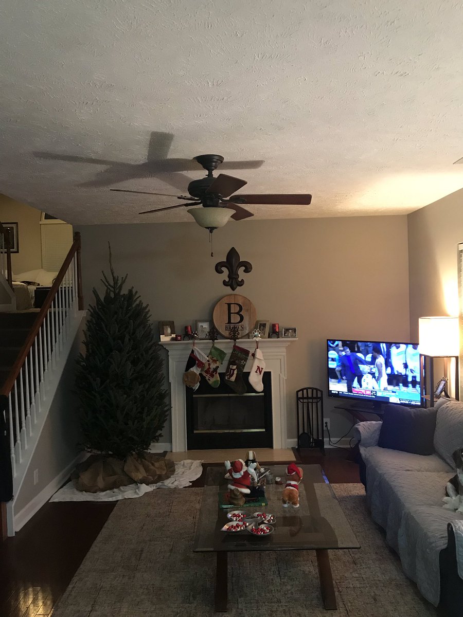 Christmas decorating is in full process!! Spot the beagle helpers!!