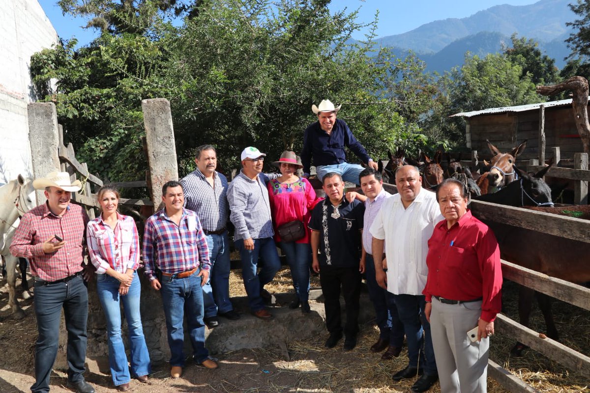 Neltiliz_tli's tweet image. La finalidad del @gobiernohidalgo de @omarfayad es seguir impulsando el desarrollo agropecuario y contribuyendo a mejorar la calidad de vida de las familias hidalguenses más necesitadas de la región #Otomí-Tepehua.#Mulas #SanBartóloTutotepec @SEDAGRO_HIDALGO