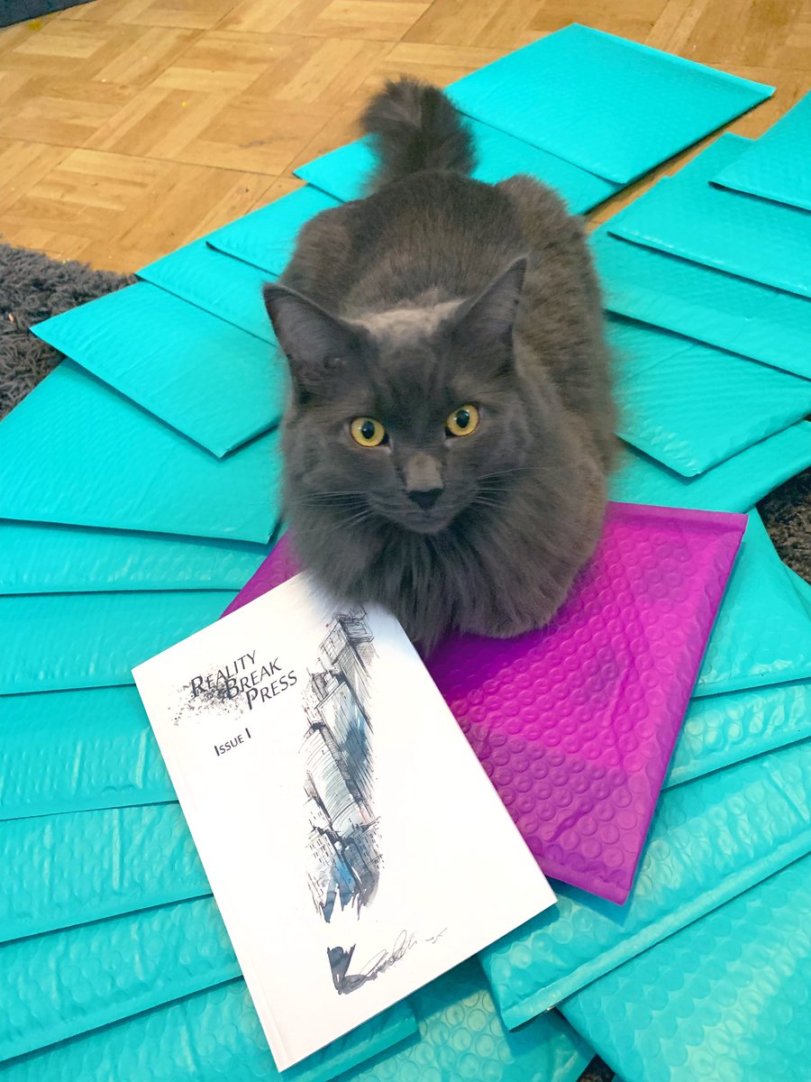 RealityBreakLit's tweet image. Mailing operations have commenced!

We also have a feline mascot, apparently. He’s doing quality assurance to ensure the integrity of the bubble mailers.