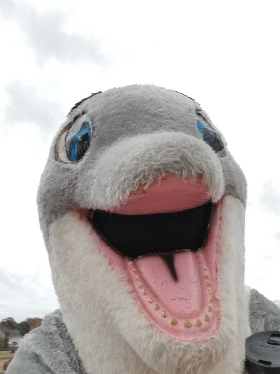 beechteechr's tweet photo. Usually I am out on the field playing..this year I decided to switch being at my new amazing school and took on role as mascot! Dolphin Bowl 2019! #redmillrocks @RMESPrincipal @NclKeros @RedMillPE https://t.co/DthvCntaTj