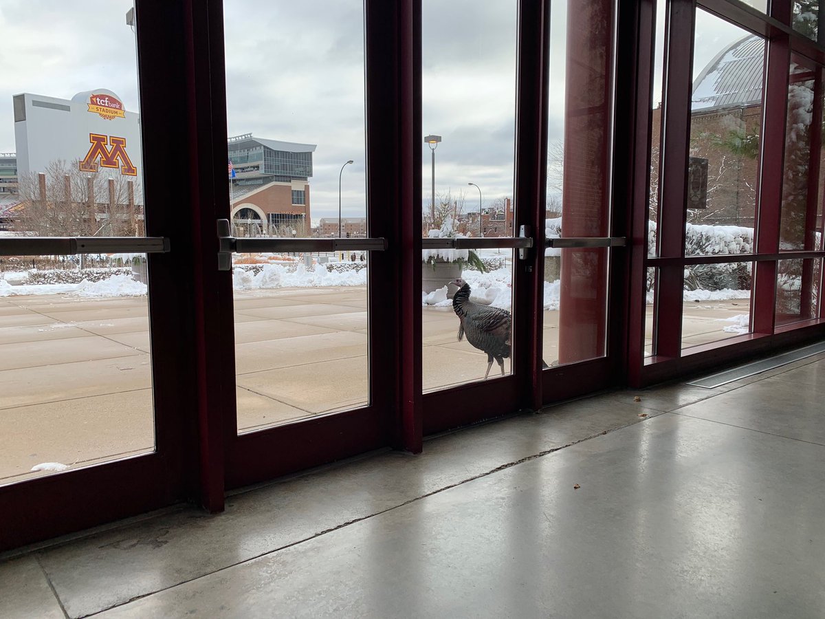 GopherHockey's tweet photo. Dude, we get it. We’re all excited for our Thanksgiving matchup with UND, but doors don’t open until tomorrow night! https://t.co/pbMiMaiYQq