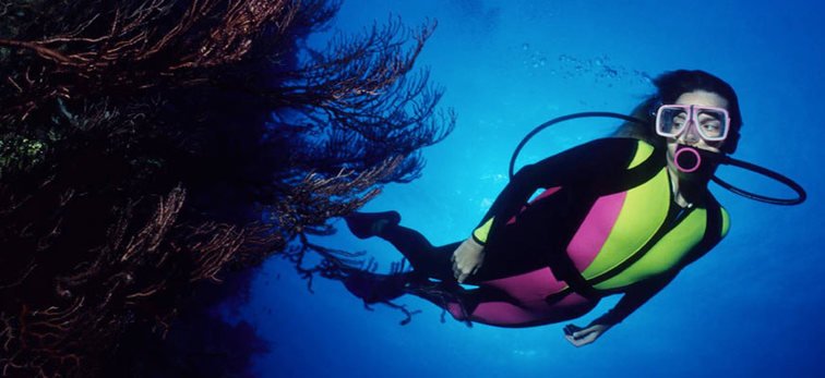 SqualoDiver's tweet photo. #Scubadiving in Miami is an incredible activity and a lot of people make it their casual pastime. With such incredible marine life, people flock from all over the country to witness the wonders of the South Floridian oceans.

https://t.co/KeneA9tAyk https://t.co/ubXHPxcFiA