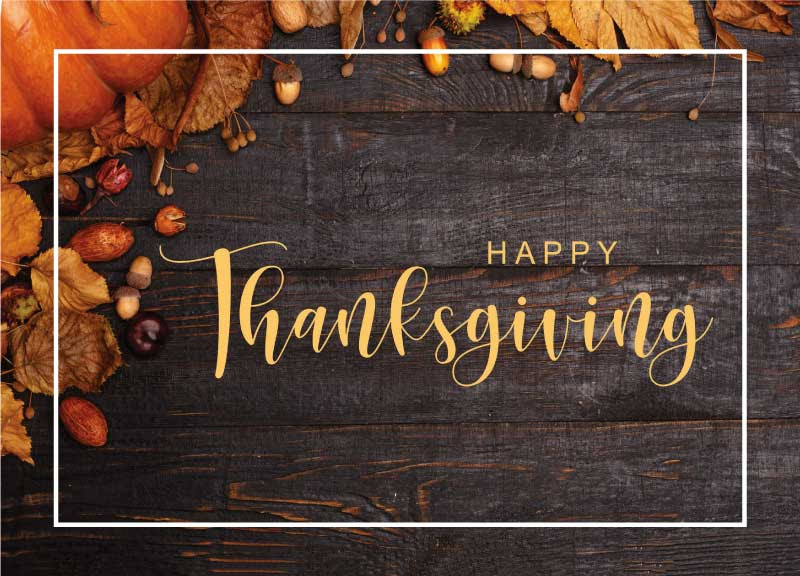 ScatterJoyAcres's tweet photo. Happy Thanksgiving - https://t.co/ZAtZQGqoy1 https://t.co/unFlewyQz6
