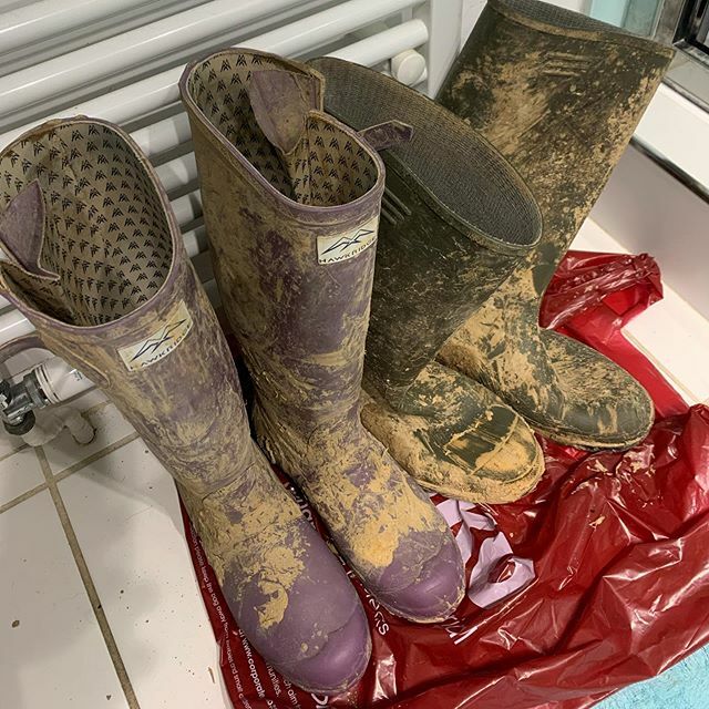FanfieldFarm's tweet photo. We’re a wellies in the bathroom next to the radiator kind of family now!!! 😂
.
The last couple of days have been very very challenging... the one week we needed a little bit of dry, we’ve ended up with torrential rain and everything we’ve dug full with water!
.
But we’ve got… https://t.co/d7swFnx5xs