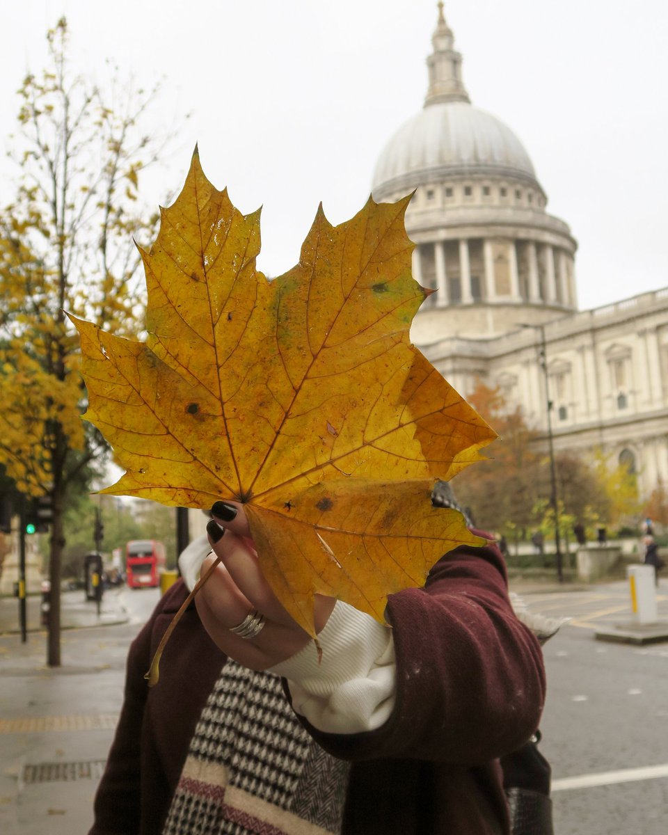 LourdesVG29's tweet photo. Fall in (love with) London https://t.co/Hd8dusRNSj