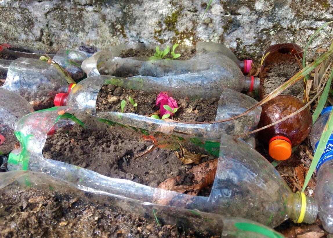 SSANSSAN4's tweet photo. En el municipio de Policarpa se realizó el encuentro pedagógico “Autocuidado, sembrando vida” donde los adultos mayores reconocieron a través de la siembra y cuidado de las plantas, las prácticas de autocuidado que pueden contribuir a la vivencia de una tercera edad saludable. https://t.co/z30jzayk5D