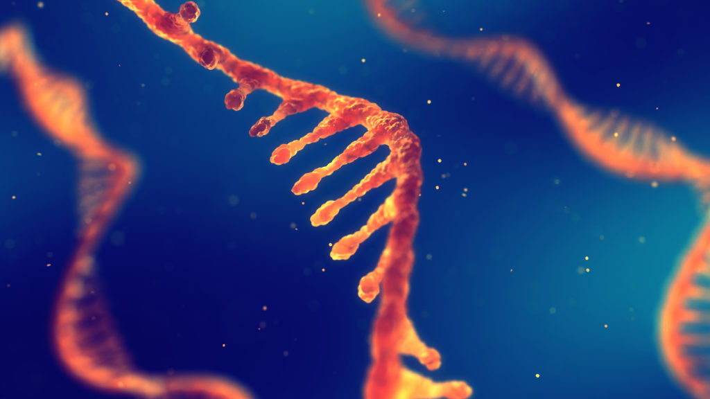VOncology's tweet photo. By looking at #DNA’s cousin, #RNA, clinicians might be able to turn up more at-risk cancer patients. https://t.co/Z7ygfcRBMH https://t.co/dUOUR38Q6h