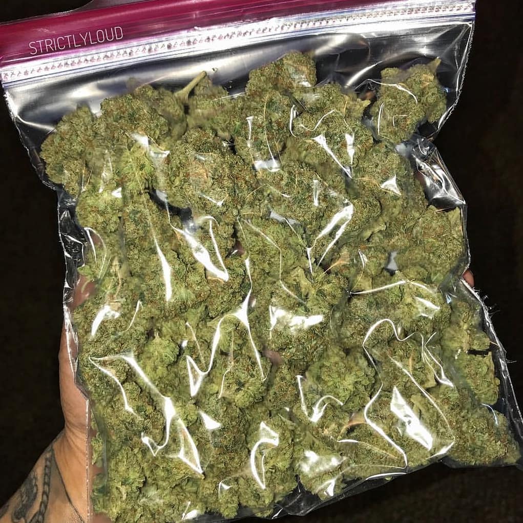 cannab420's tweet photo. Commande ta beuh en toute sécurité sur wickr: spirit 4201

#paris16 #paris18eme #paris55 #paris19eme #paris98 #paris14eme #paris10 #paris11 #paris15ème #paris44 #paris12eme #paris15eme #paris21 #paris16eme #paris10 #paris22 #paris33 #paris13ème #nantes #toulouse #lyon #92i https://t.co/38CO0HgQ6f
