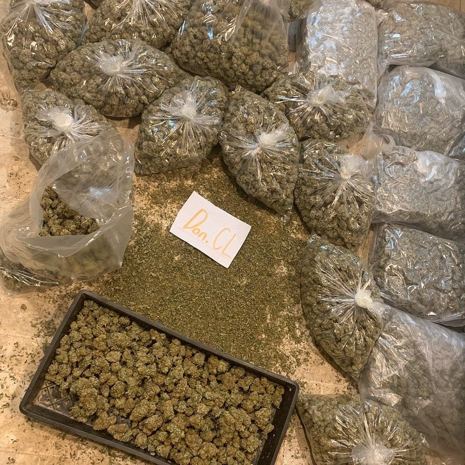 cannab420's tweet photo. OG Kush livraison discrète
Contactez moi sur wickr: spirit 4201

#Paris37 #Paris45 #Paris46 #Paris41 #Paris42 #Bordeaux #Nancy #Metz #Nice06 #strasbourg #Bruxelles #Chernobyl #clermont #weed #toulouse #nantes #rennes #rouen #paris40 #Marseille #cannabis #drogue #prais36 #shit https://t.co/0ct6l0ZMq0