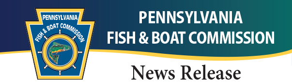 pafishandboat's tweet photo. 2020 PENNSYLVANIA FISHING LICENSES, PERMITS AND GIFT VOUCHERS TO GO ON SALE DECEMBER 1!

Read the full News Release, here: https://t.co/QSMWboKffW https://t.co/b4txGUET0T