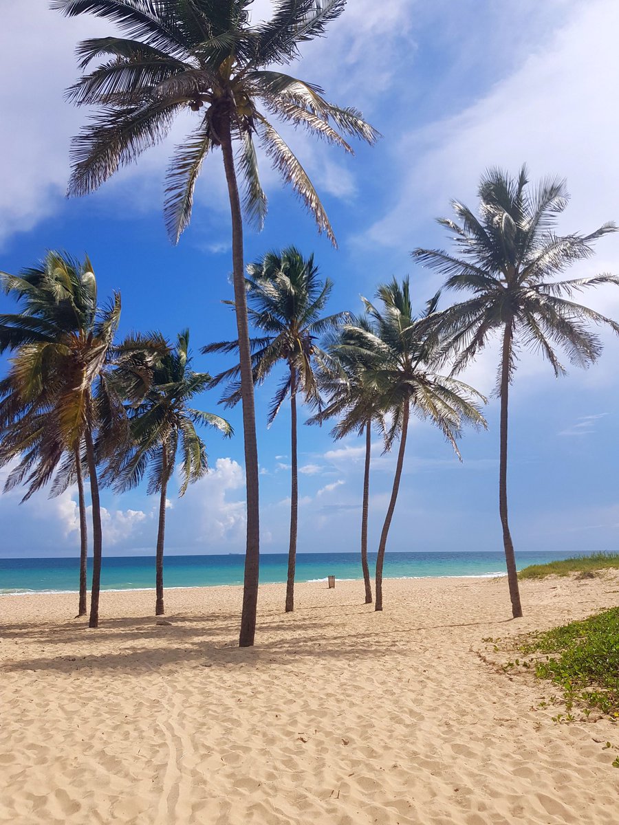 CamomilleLouise's tweet photo. Bon... mon niveau de salite atteint le « nervous breakdown » lol. Je m’en vais déprimée dans les embouteillages de Dakar qui commenceront heure tapante demain. Tchip. #CubanDiary🇨🇺 #playasantamaria #havane #nofilter https://t.co/f2lgdUUD89