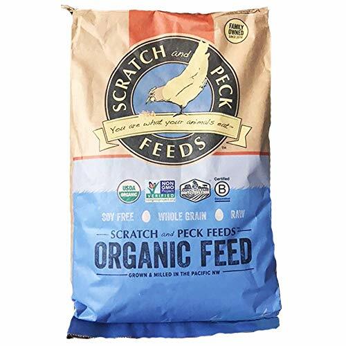 dogtraincollar2's tweet photo. Scratch and Peck Feeds – Organic Scratch n’ Corn Hen Treat – Non-GMO Project Verified, Always Soy Free – 25-lbs For Sale https://t.co/bw4BlVE4U3 https://t.co/GLuEKunuf9