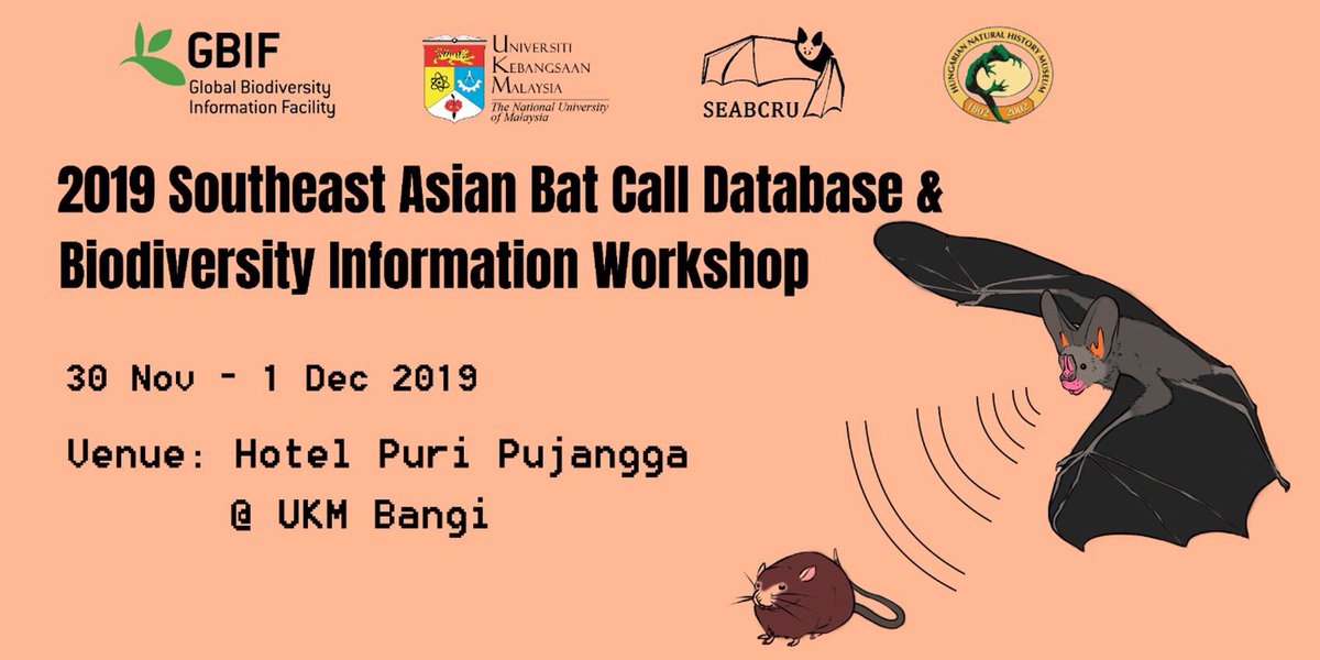 EcojoeHuang's tweet photo. Two days to go, I’ll meet 40 bat biologists from 15 countries for the first meeting on the first join #bat #acoustic library supported by @GBIF #ukm and #HNHM.@fanwaral @TiggaKingston @PipatSS @TGorfol @nurulainelias @Canopyben and many others https://t.co/eHcuik9fYy