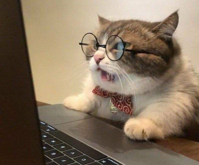 laungingaround's tweet photo. @scandalabras had to deal with two of those for uni reading today, I honestly rage quit https://t.co/Zlsku9xQ5z