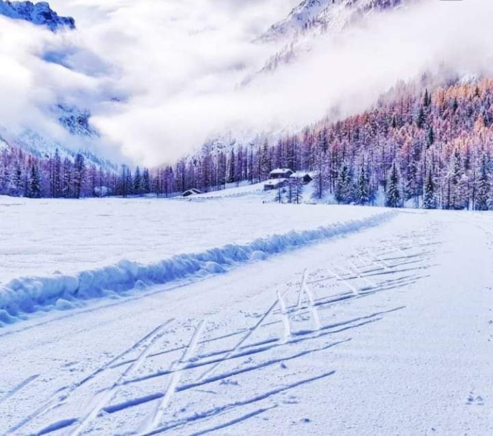 #Valnontey oggi...
(Foto di Noemi Glarey)