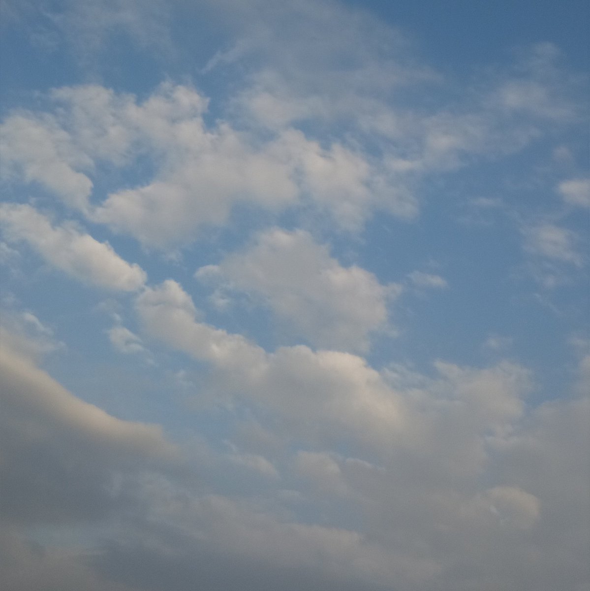 Sky diary☁✨ tweet media