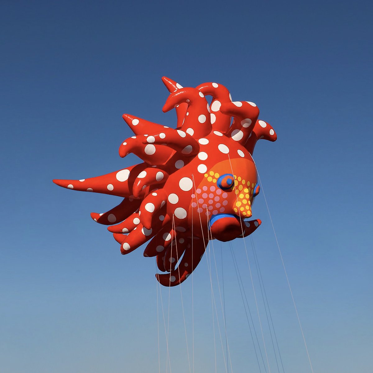 New York Botanical Garden Di Twitter Ahead Of Our 2020 Exhibition Kusama Cosmic Nature The Renowned Artist Designed A New Balloon For The Annual Macys Thanksgiving Day Parade Sign Up For Our