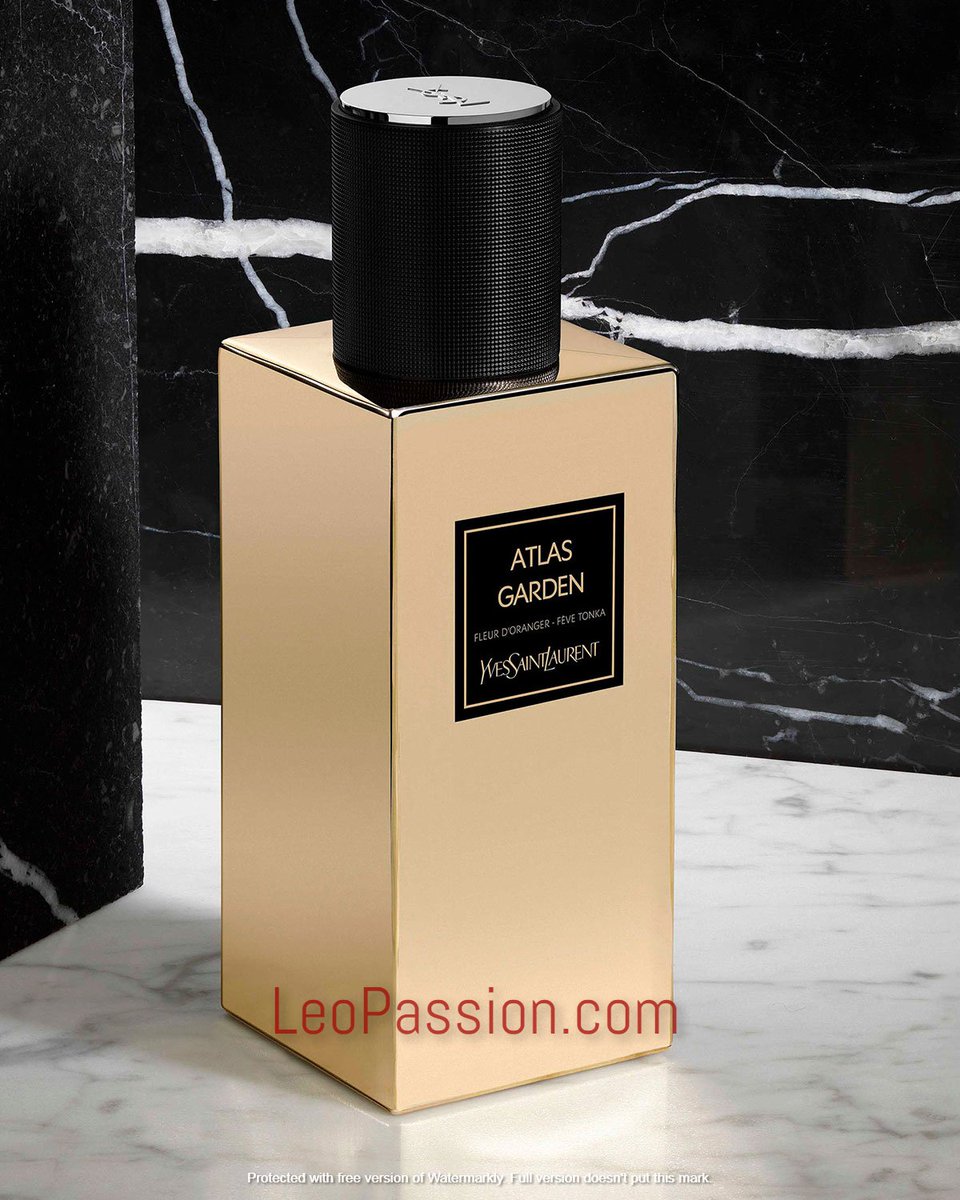 new ysl cologne 2019