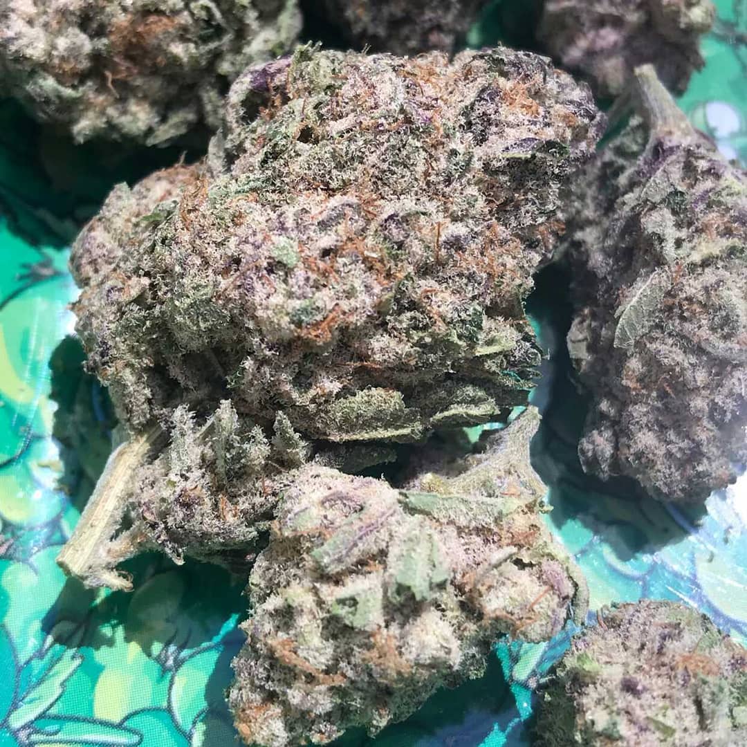 WilsonPlug's tweet image. contacter sur :/+ 33 6 44 66 14 60
Wickr:beuhfr12
🇫🇷que de la bonne
Pour tout vous commende dans tout les localités et toutes les variétés sont dispo
#weedparis #fumette #joint #ukinfrance #tourismeparis #hotelparis #hotelfrances #marseille #bordeaux #france420 #franceweedsmokers