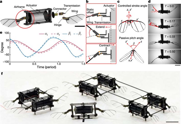 Tsinghua_Uni's tweet image. Is it possible to make microrobots as agile as flying insects? The potential of developing next-generation agile soft robots is illustrated by researchers from @Harvard, #Tsinghua, and @MIT in an article recently published in @Nature. For more: 1t.click/bnmY
